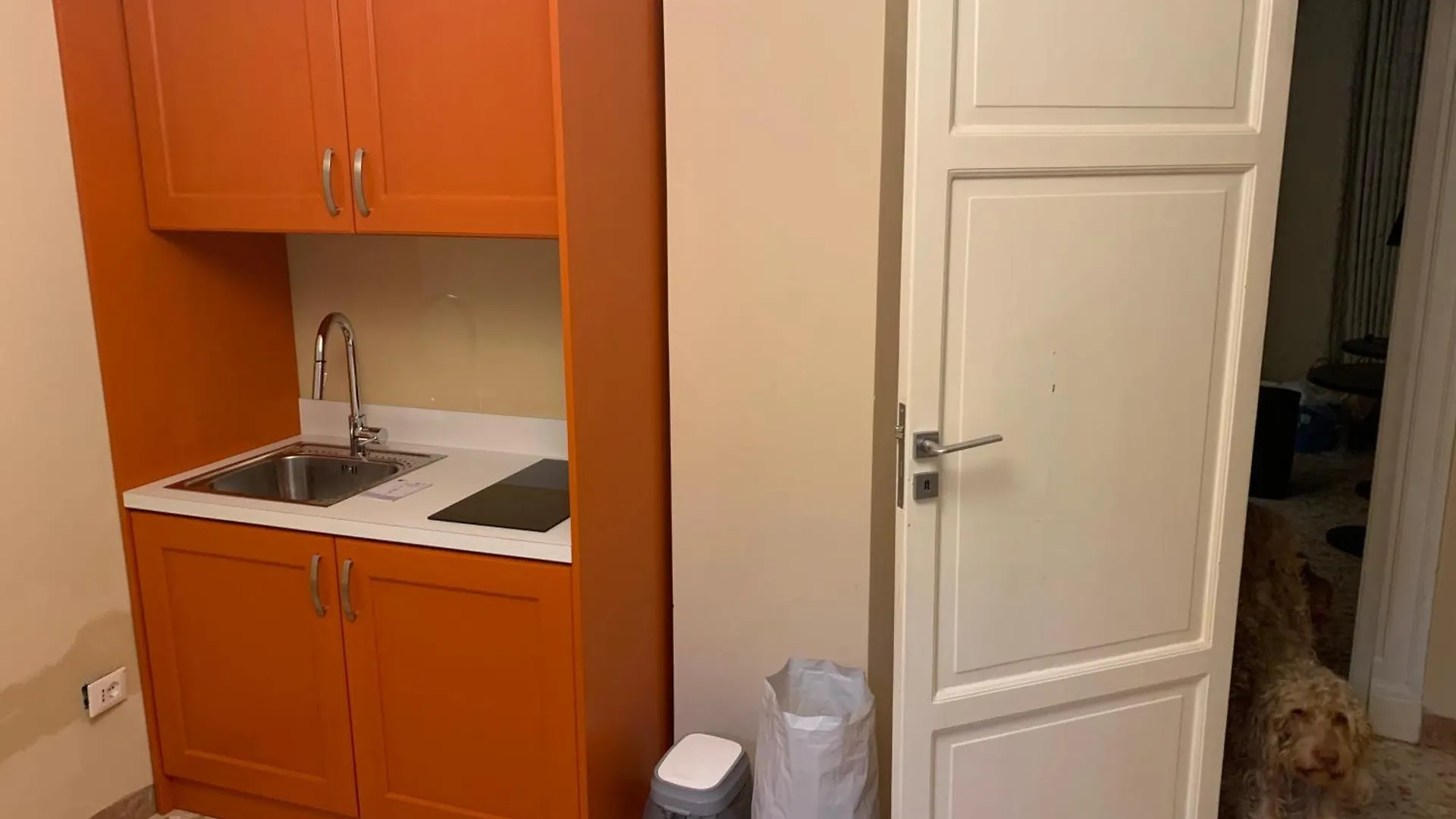 Due Cani Apartment Palermo 0*,  Italy